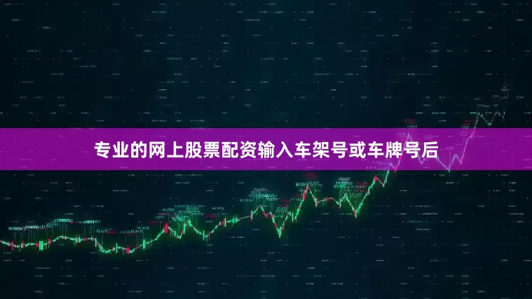 专业的网上股票配资输入车架号或车牌号后