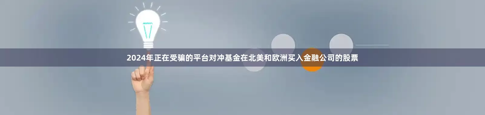 2024年正在受骗的平台对冲基金在北美和欧洲买入金融公司的股票