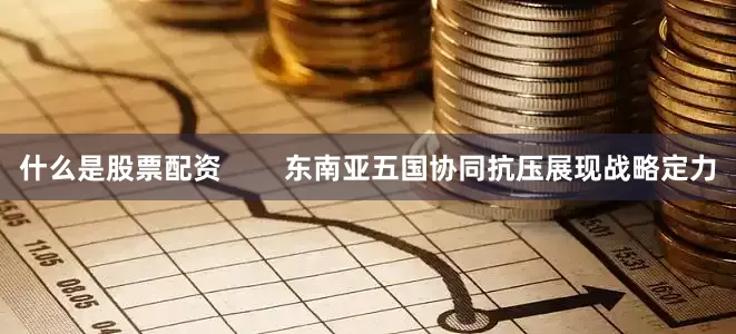 什么是股票配资        东南亚五国协同抗压展现战略定力