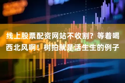 线上股票配资网站不收割？等着喝西北风啊！树拍就是活生生的例子