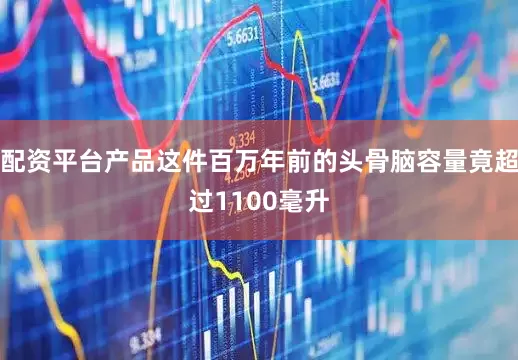 配资平台产品这件百万年前的头骨脑容量竟超过1100毫升